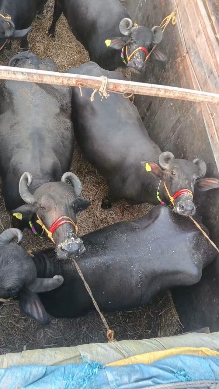 Ranchi Express