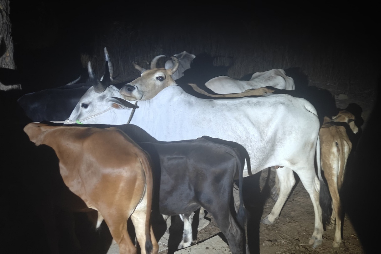 Ranchi Express